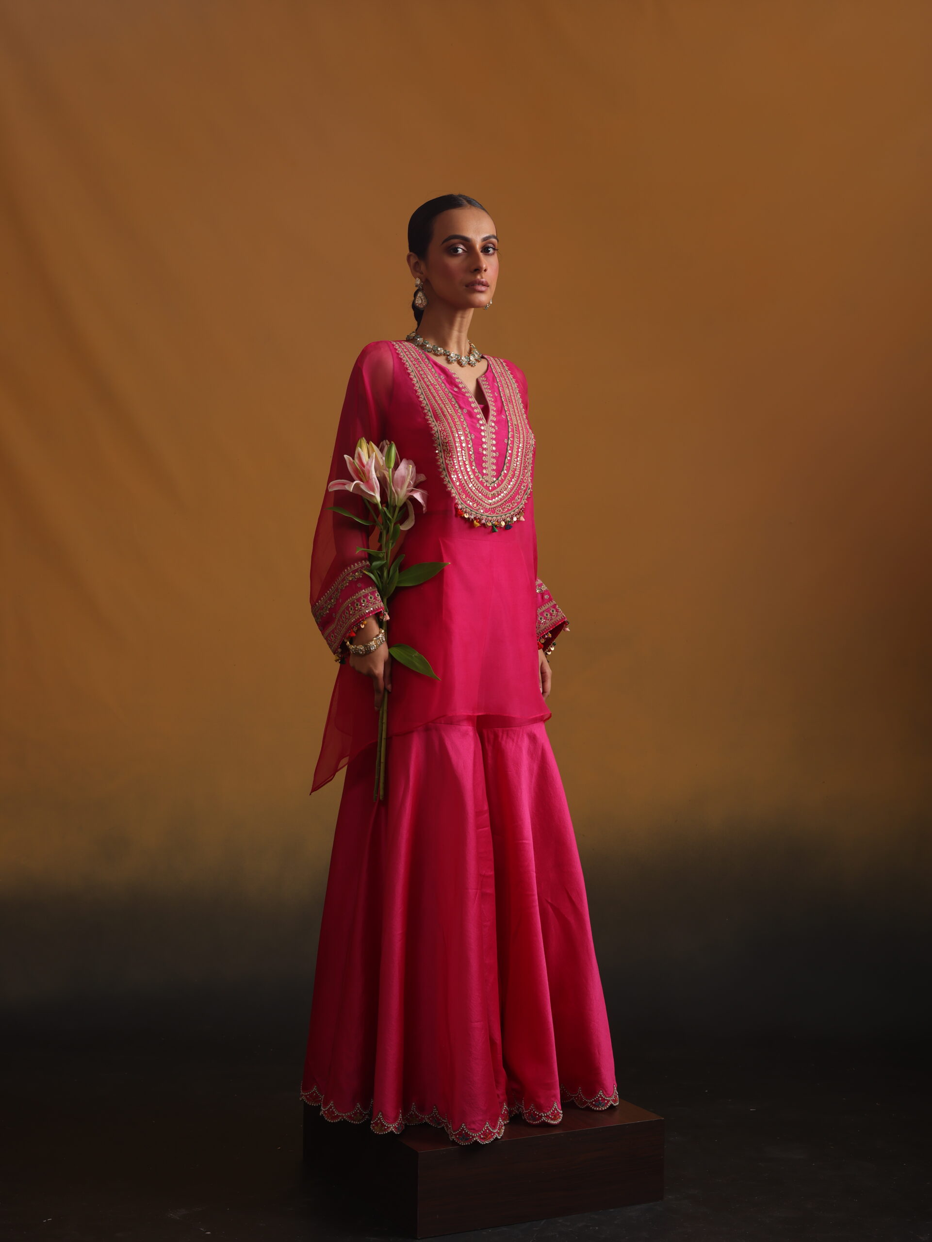 Organza Embroidered Top with Bustier & Bottom - Image 4