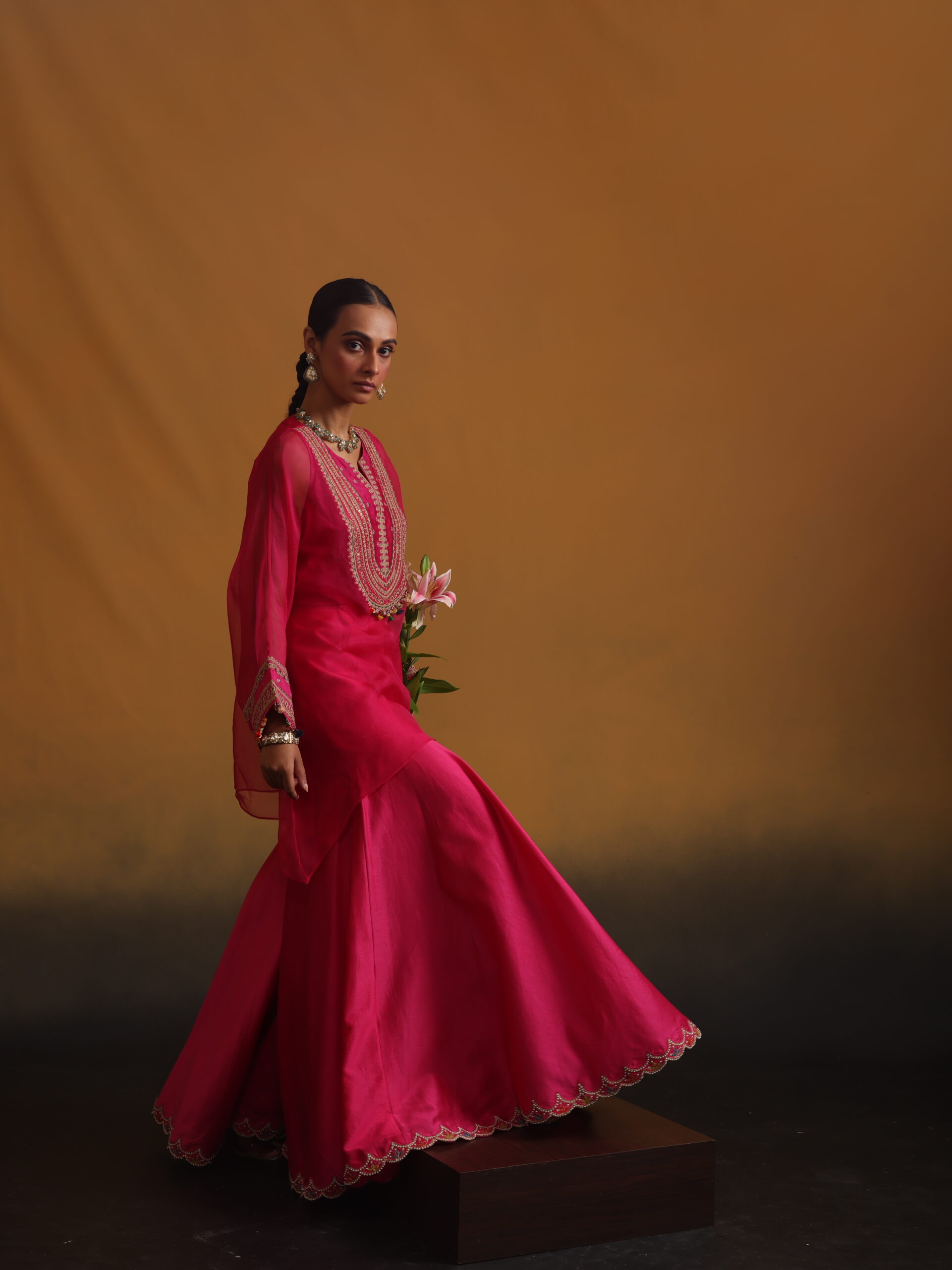 Organza Embroidered Top with Bustier & Bottom - Image 3